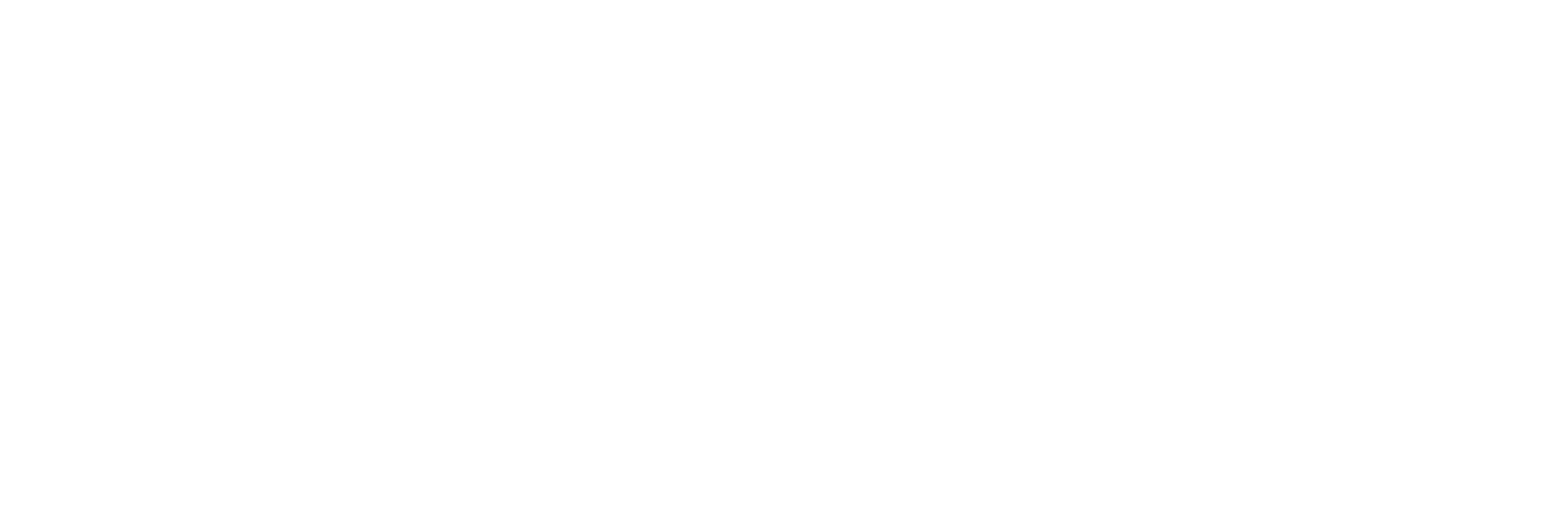 レンタル彼氏・出張ホスト応募フォーム【バルト】